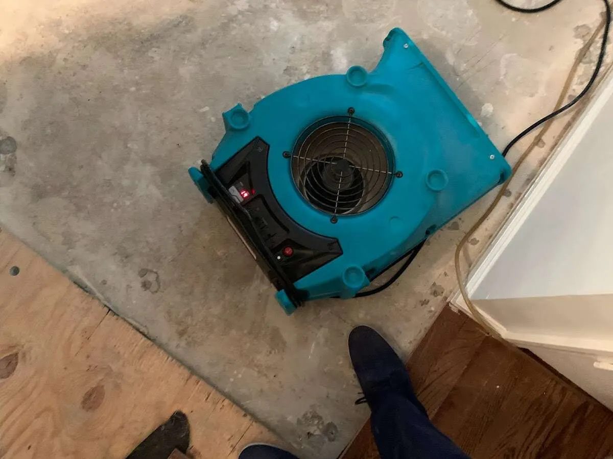 Air mover drying subfloor during Leak Detection & Repair in Greer